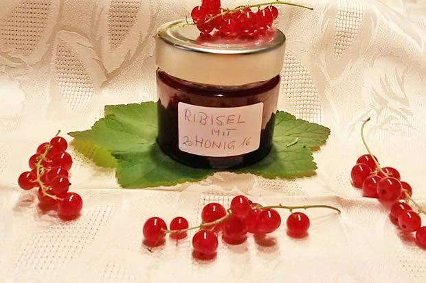 Ribiselmarmelade mit Honig