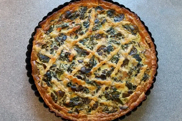Mangold-Quiche