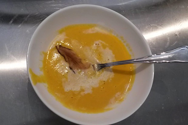 Karotten-Ingwersuppe