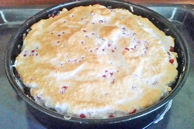 Ribiselkuchen