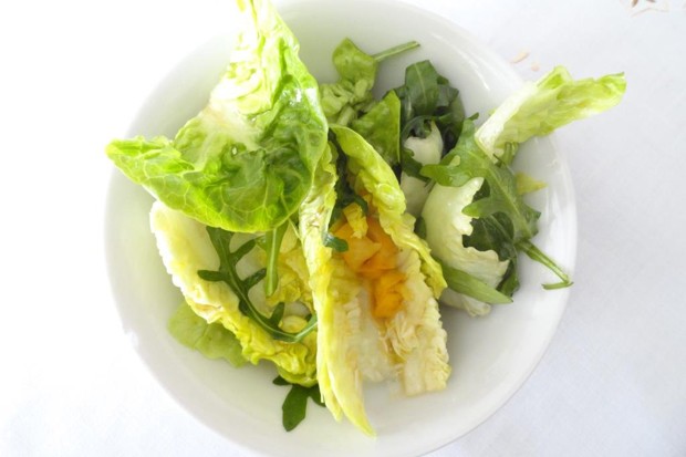 Grüner Mischsalat