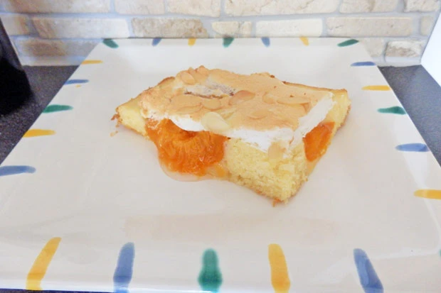Marillenkuchen mit Schneehaube