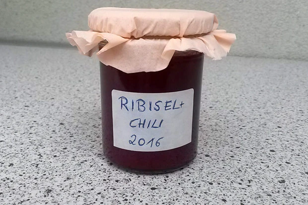 Ribiselmarmelade mit Chili