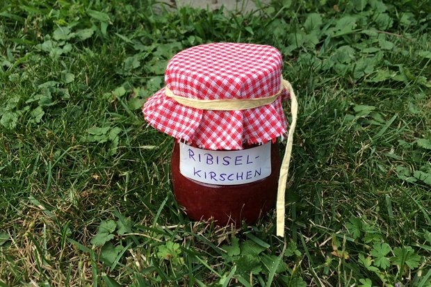 Johannisbeer-Kirsch-Marmelade