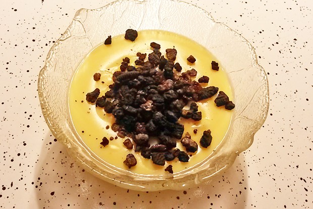 Vanillepudding mit Oreonkeksen