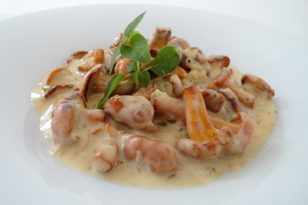 Eierschwammerlsauce
