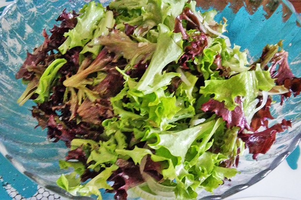 Eichblattsalat mit Zwiebel