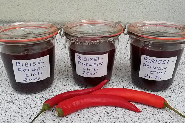 Ribiselmarmelade mit Rotwein und Chili