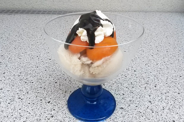 Eisbecher mit Marillen