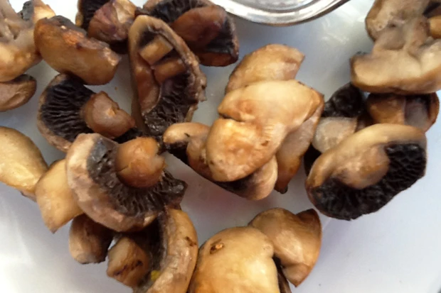 Gegrillte Champignons