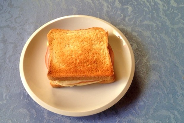 Schneller Schinken-Käse Toast