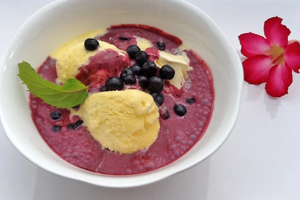 Heidelbeerjoghurt mit Vanilleeis