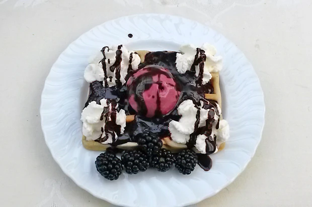 Topfenwaffeln mit Brombeereis und Schokosauce