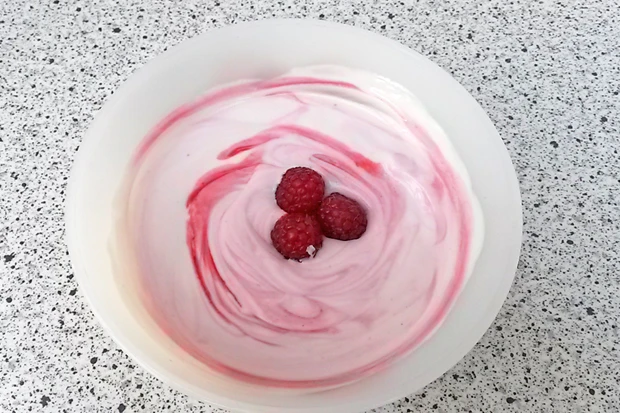Joghurt-Himbeer-Dessert