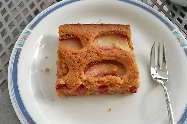 Nektarinenkuchen