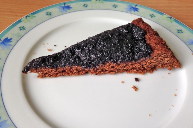 Mohn-Schokokuchen