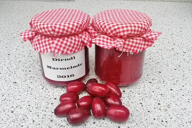 Dirndlmarmelade