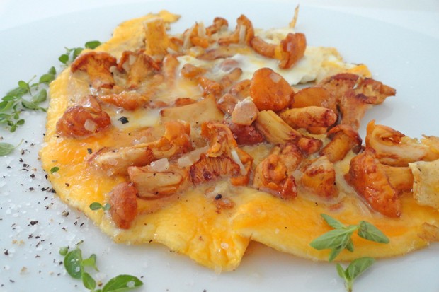 Frittata mit Eierschwammerl