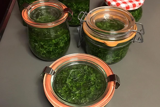 Walnuss-Bärlauchpesto