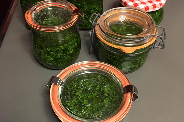 Walnuss-Bärlauchpesto-Rezept | GuteKueche.at