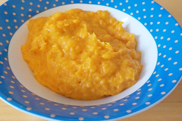 Kürbispüree