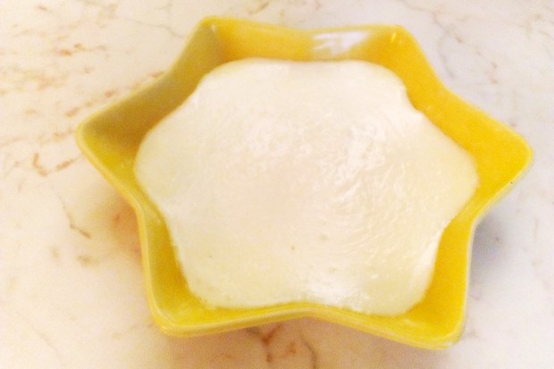 Selbstgemachter Vanillepudding