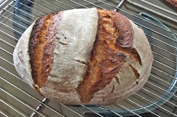 Mischbrot - Rezept