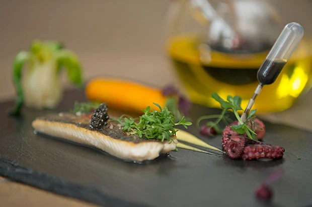 Saibling - Pulpo - Schwarze Olive