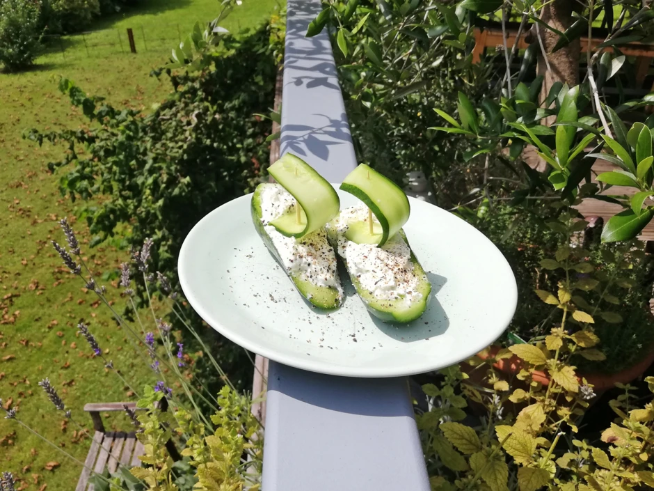 Gurkensegel