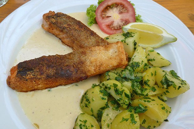 Lachs mit Weißweinsoße