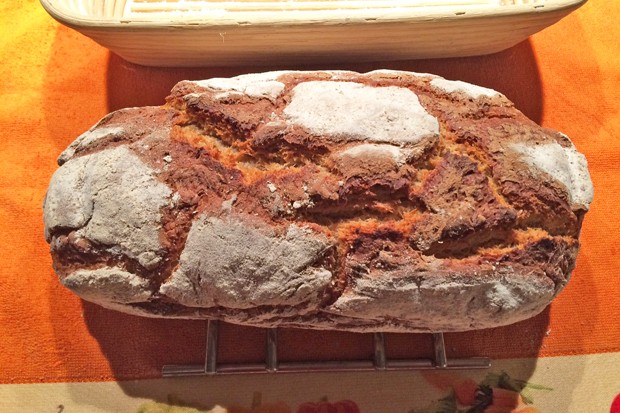 Dinkel-Sauerteigbrot