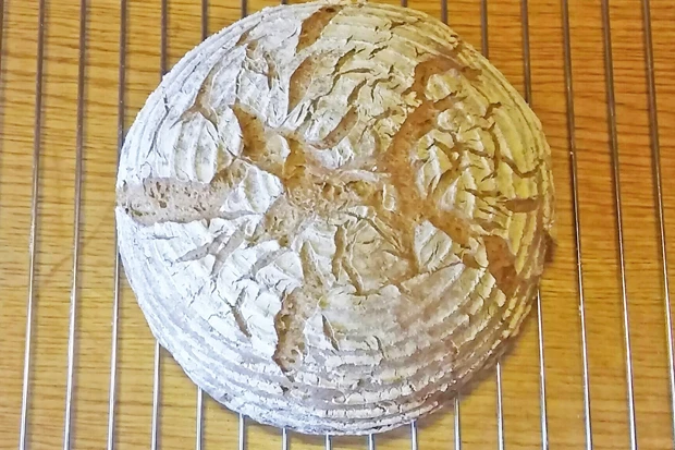 Dinkel-Topfen-Brot