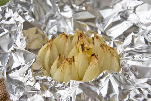 Zwiebelblüten aus der Folie