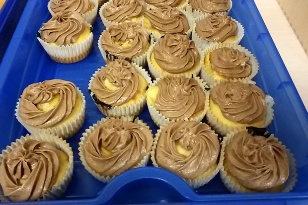 Schokoladen-Muffins