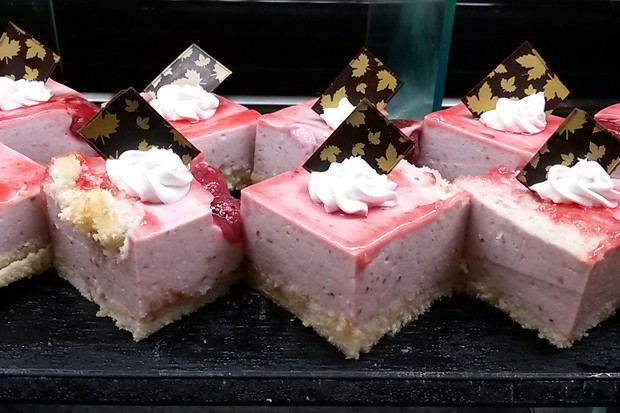 Joghurt-Erdbeerkuchen