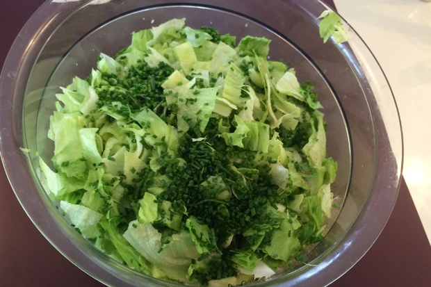 Blattsalat