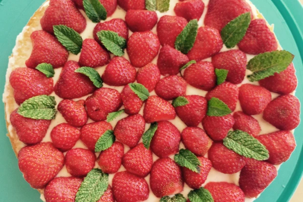 Schneller Erdbeerkuchen