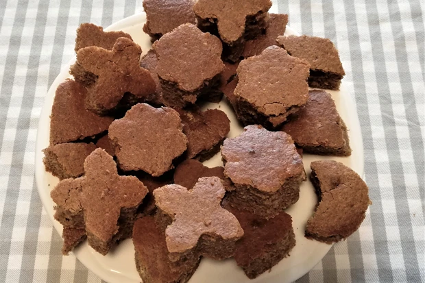 Schneller Blechlebkuchen