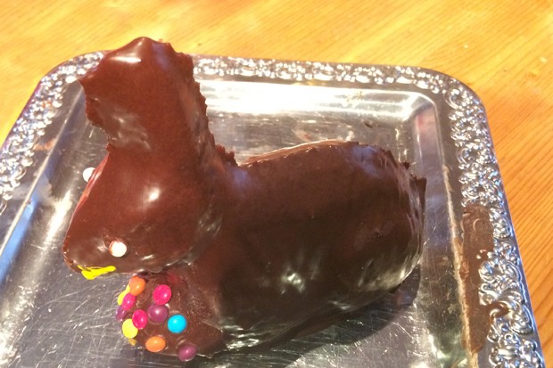 Schoko-Osterhase