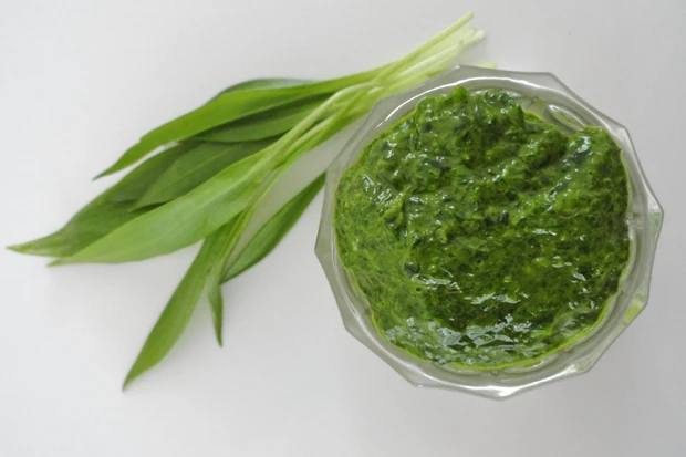 Frische Bärlauchpaste