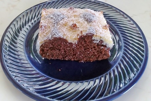 Marmorkuchen mit Kokos