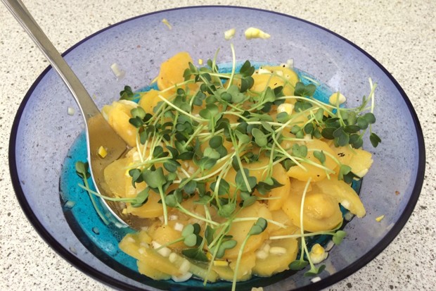 Kartoffelsalat mit Rettichsprossen