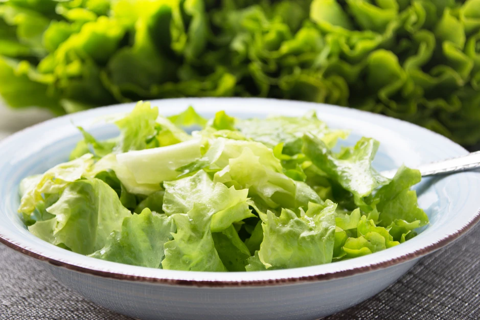 Endiviensalat