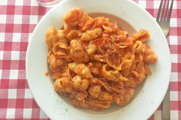 Orechiette in Sugo Sofrito (Tomaten-Sellerie-Karotten-Sauce)