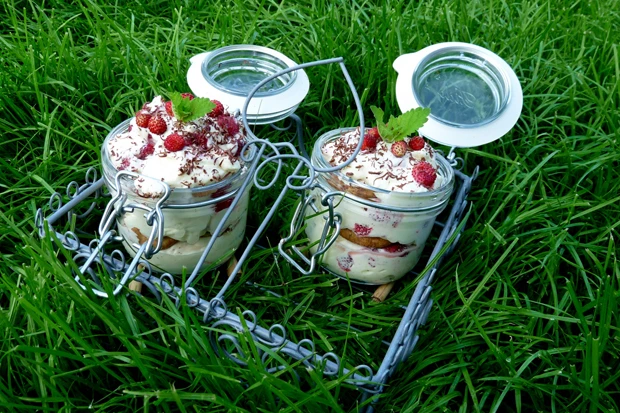 Walderdbeeren-Fool mit M&ouml;venpick Bourbon-Vanille
