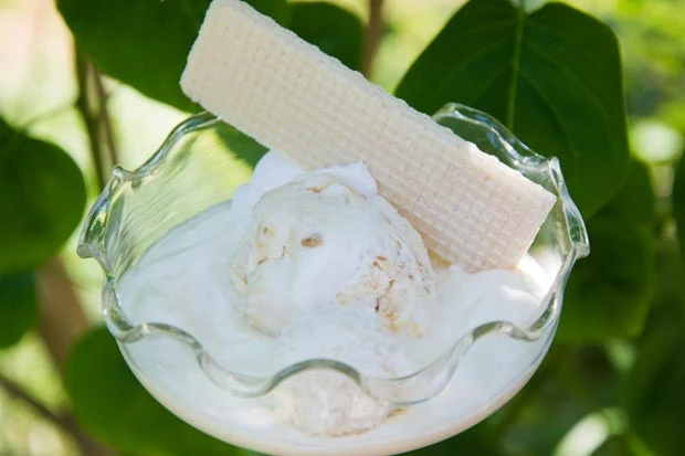 Eisdessert mit Kokos