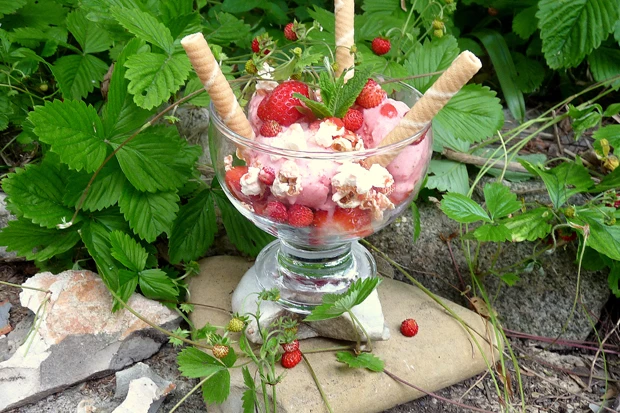 Erdbeereis auf Balsamico-Erdbeeren mit Erdbeer-Popcorn