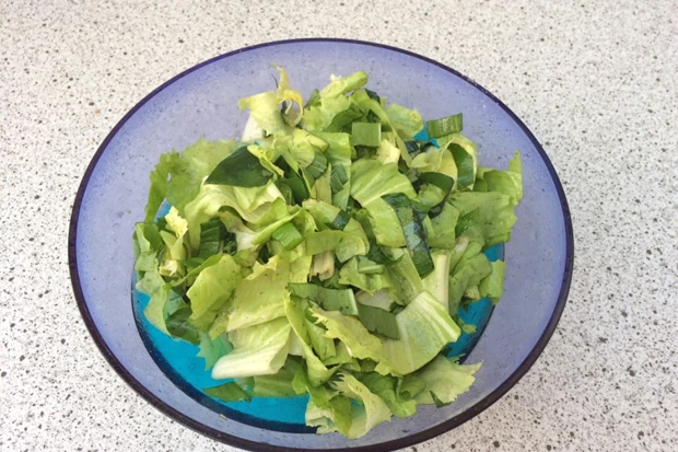 Endiviensalat mit B&auml;rlauchstreifen