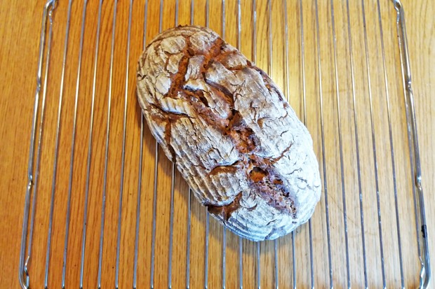 Krustenbrot - Rezept