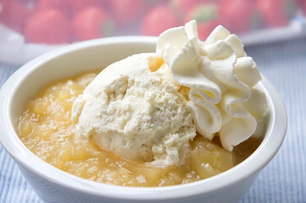 Apfelpudding mit Eis